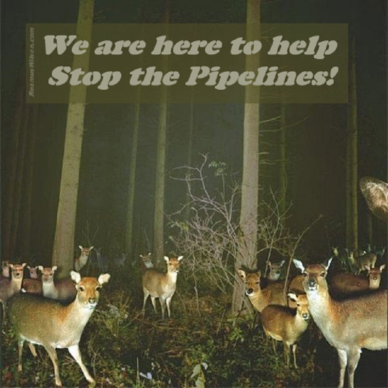 We are here to help