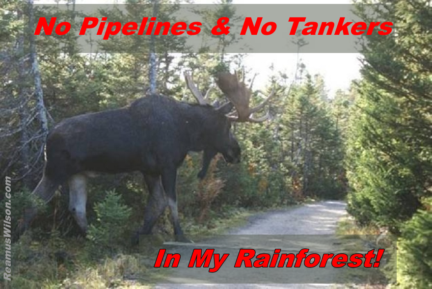 no tankers no pipeline in my rainforest