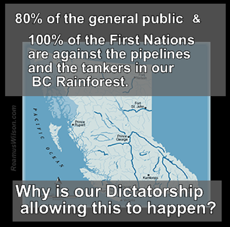80percentofthegeneralpublic